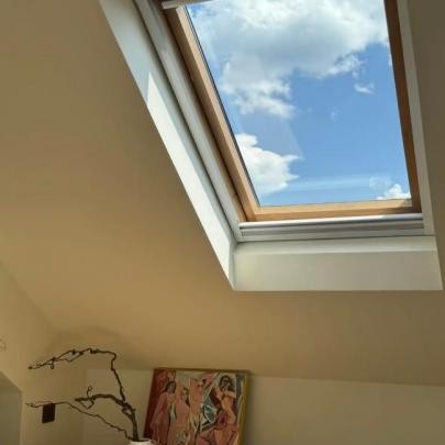 Aluminium Roof Windows suppliers